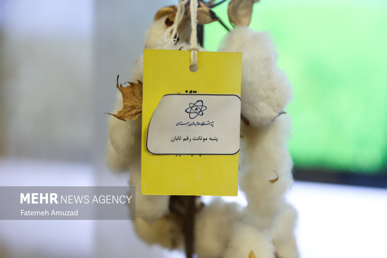 نمایشگاه دستاوردهای «صنعت هسته ای»