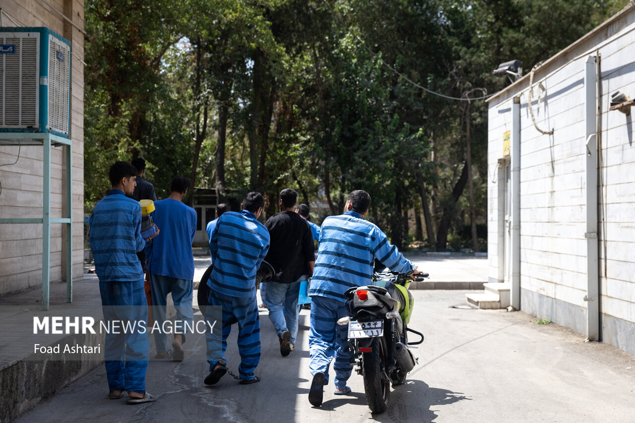 طرح دستگیری سارقان خشن