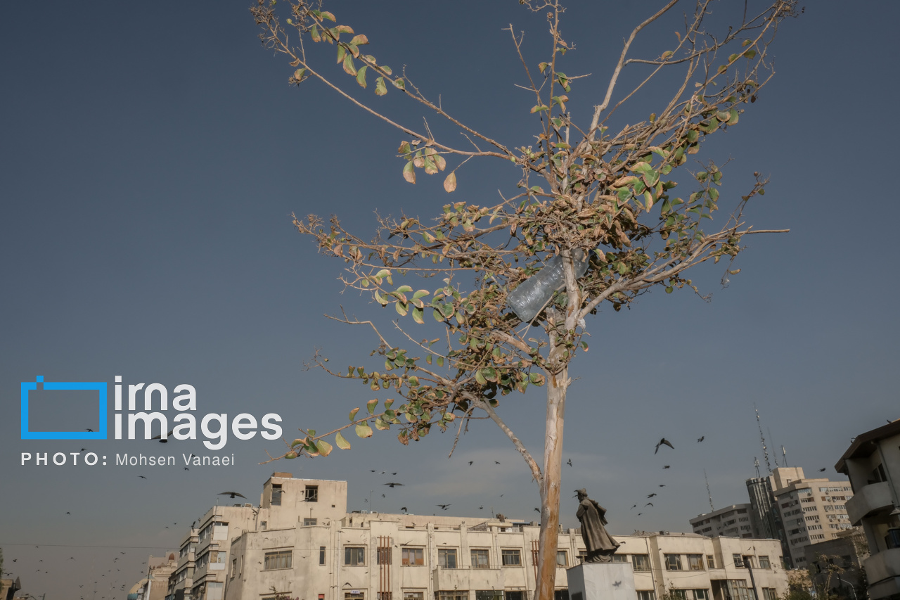 پاییز بی‌رنگ پایتخت