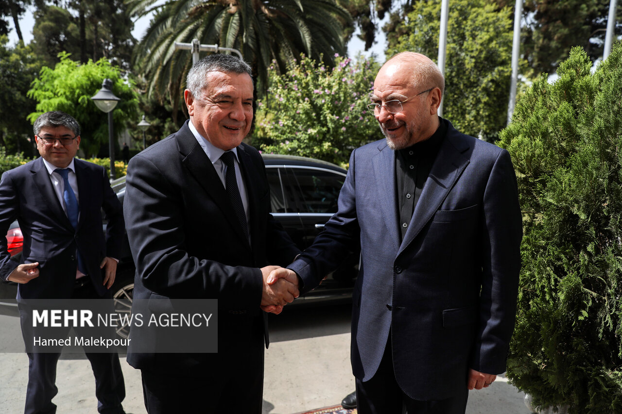 دیدارهای امروز رئیس مجلس شورای اسلامی