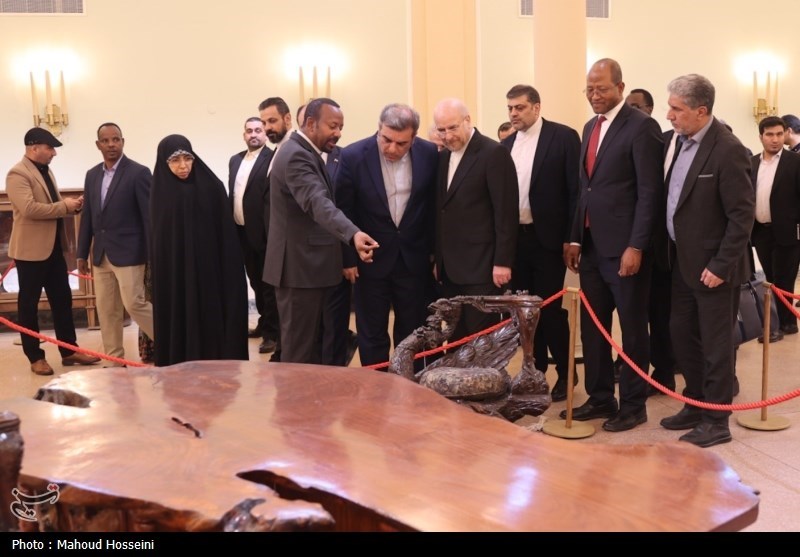 سفر رئیس مجلس به اتیوپی