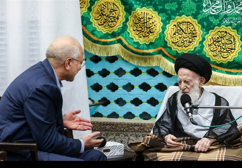 دیدار رئیس مجلس با آیت‌الله شبیری زنجانی