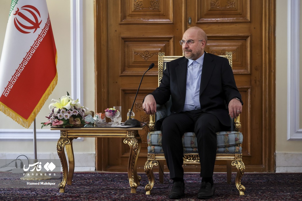 دیدار وزیر امور خارجه بلاروس با رئیس مجلس