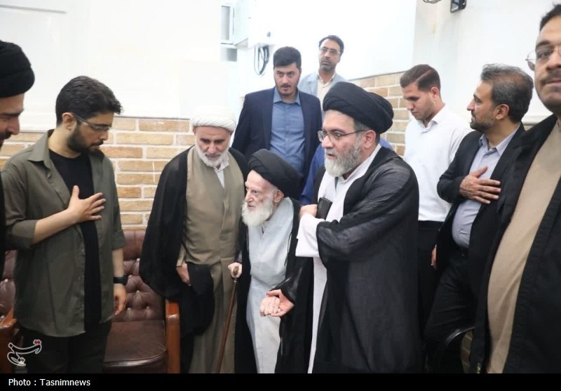 دیدار رئیس مجلس با آیت‌الله شبیری زنجانی