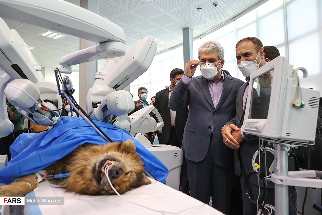 ربات ایرانی
