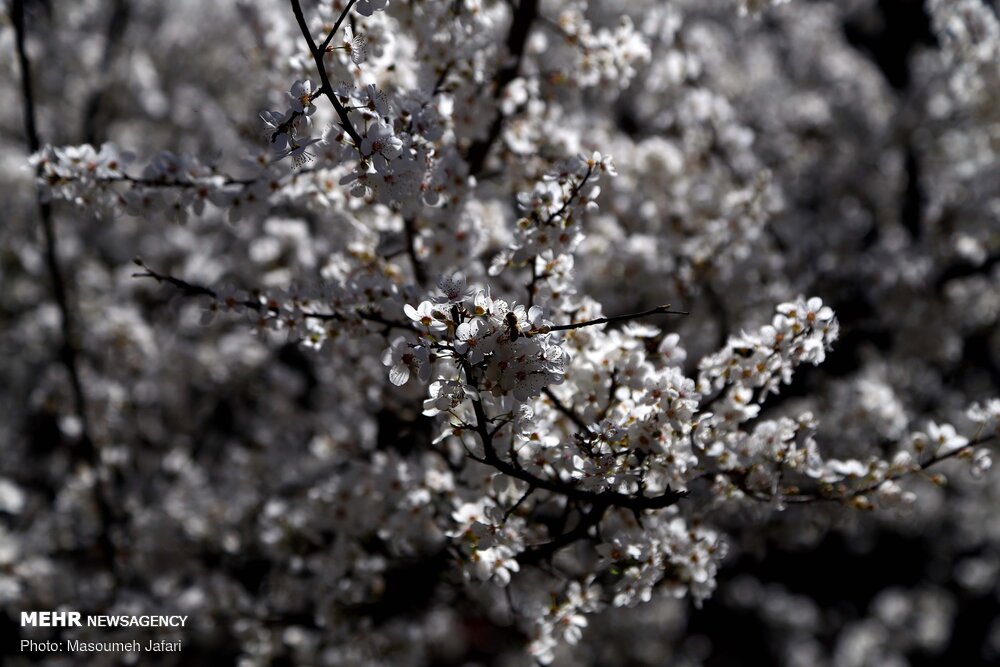 زندگی در روستای «ازآنده»