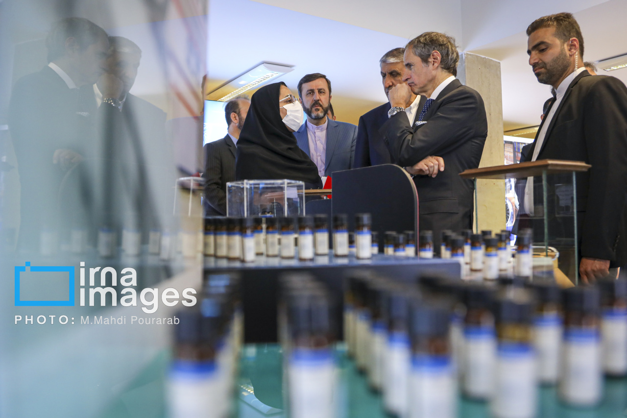 دیدار مدیر کل آژانس با رئیس سازمان انرژی اتمی