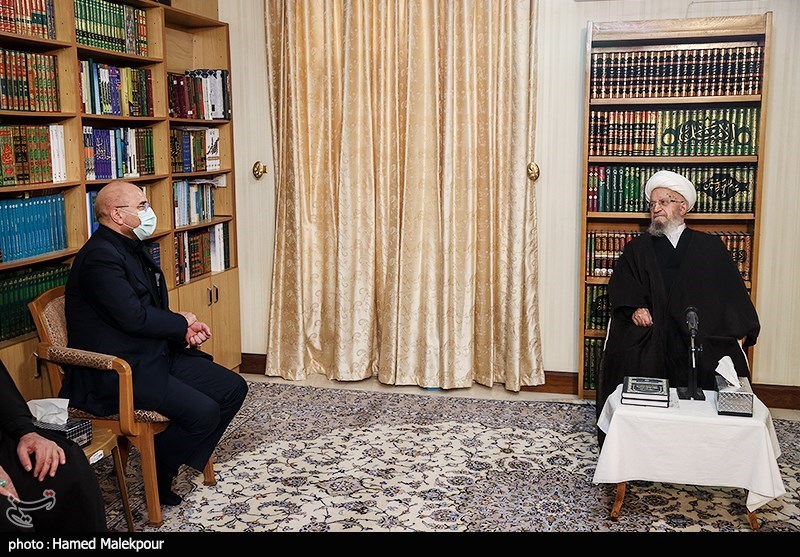 دیدار رئیس مجلس با مراجع عظام تقلید - قم