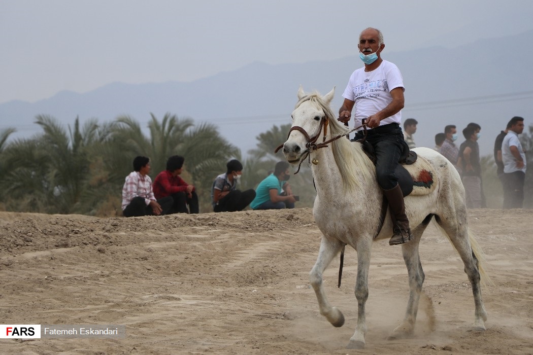 مسابقات اسب‌دوانی