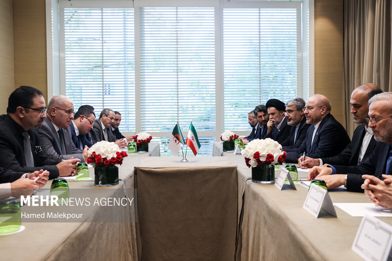 اولین روز سفر رئیس مجلس به ژنو