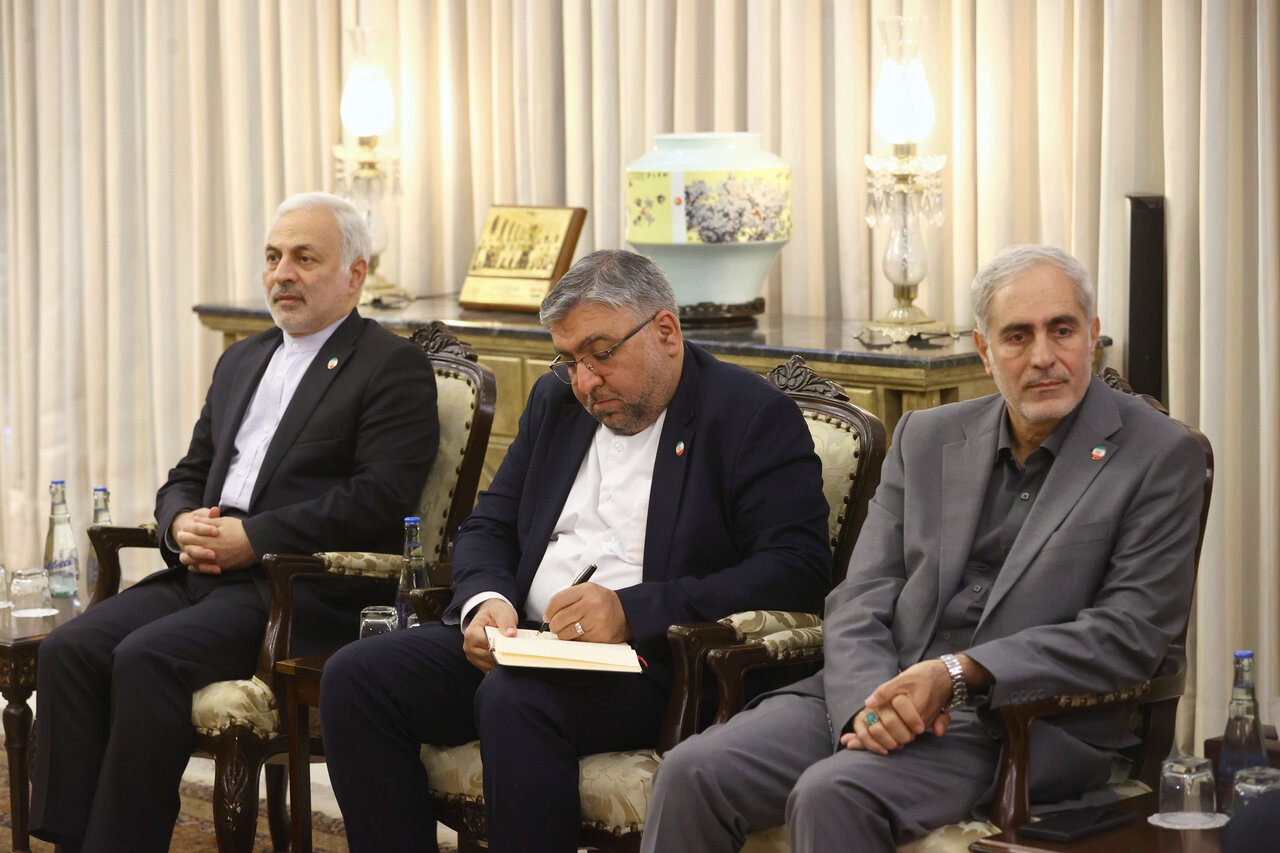 دیدار رئیس مجلس سنای پاکستان و قالیباف- اسلام آباد