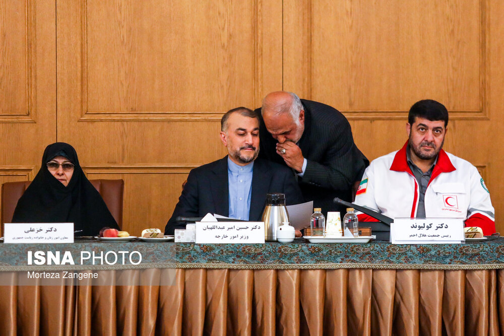 نشست کارگروه کنسولی شورای عالی ایرانیان خارج از کشور با حضور امیرعبداللهیان