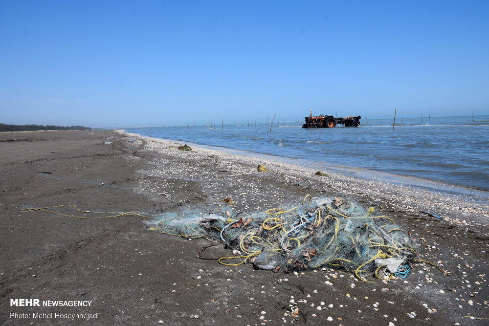 تورهای غیر مجاز ماهیگیری 