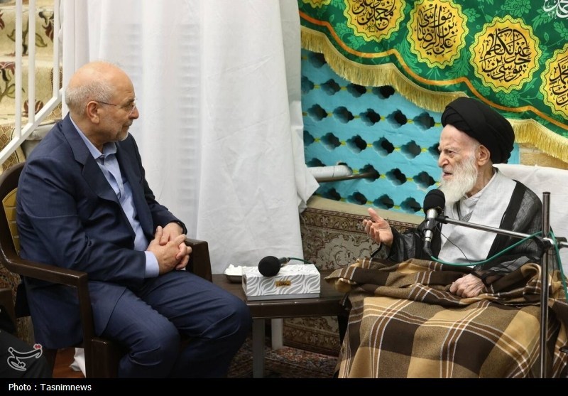 دیدار رئیس مجلس با آیت‌الله شبیری زنجانی