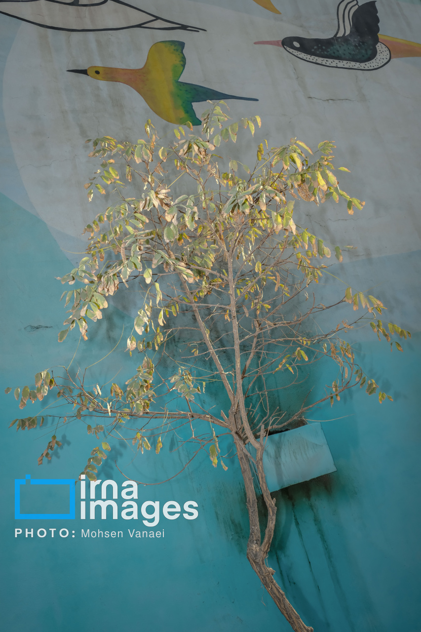 پاییز بی‌رنگ پایتخت