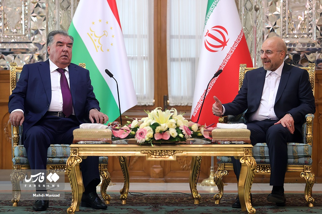 دیدار رئیس جمهور تاجیکستان با رئیس مجلس