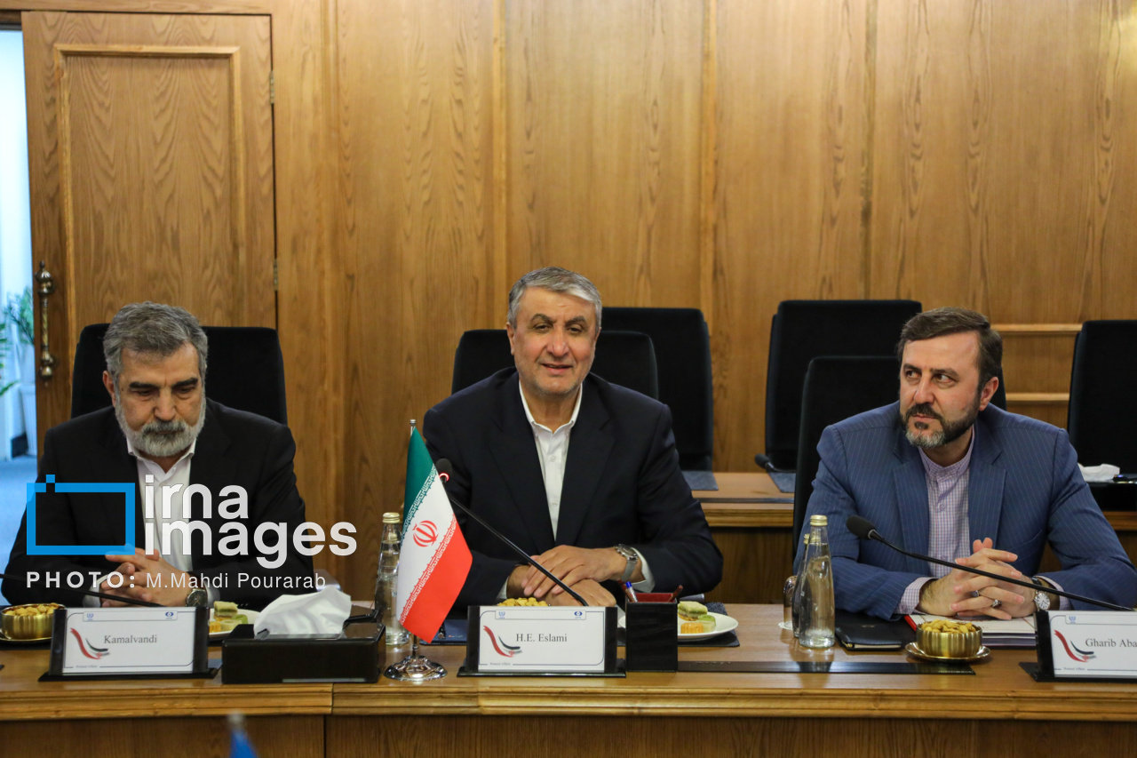 دیدار مدیر کل آژانس با رئیس سازمان انرژی اتمی