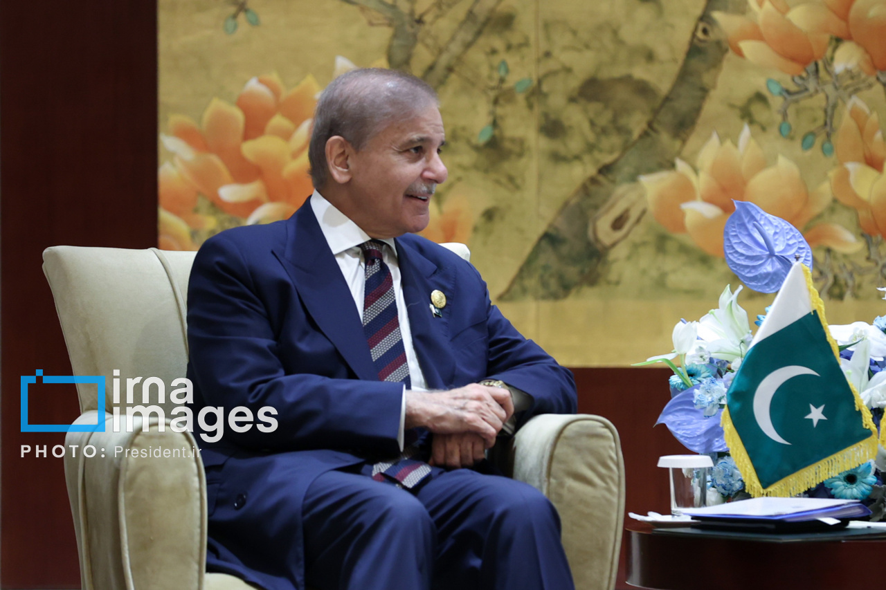 دیدار نخست وزیر پاکستان با رئیس جمهور