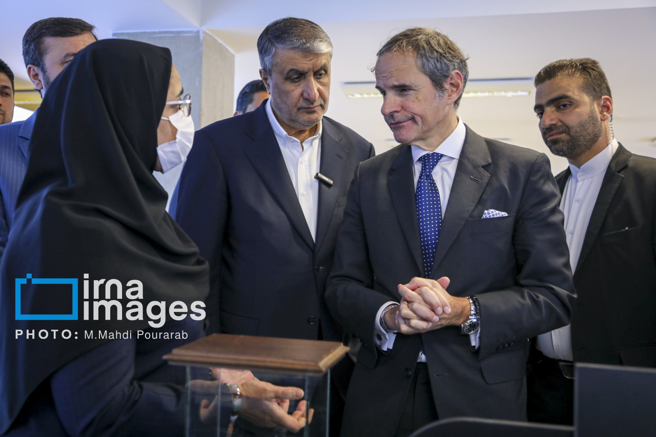 دیدار مدیر کل آژانس با رئیس سازمان انرژی اتمی