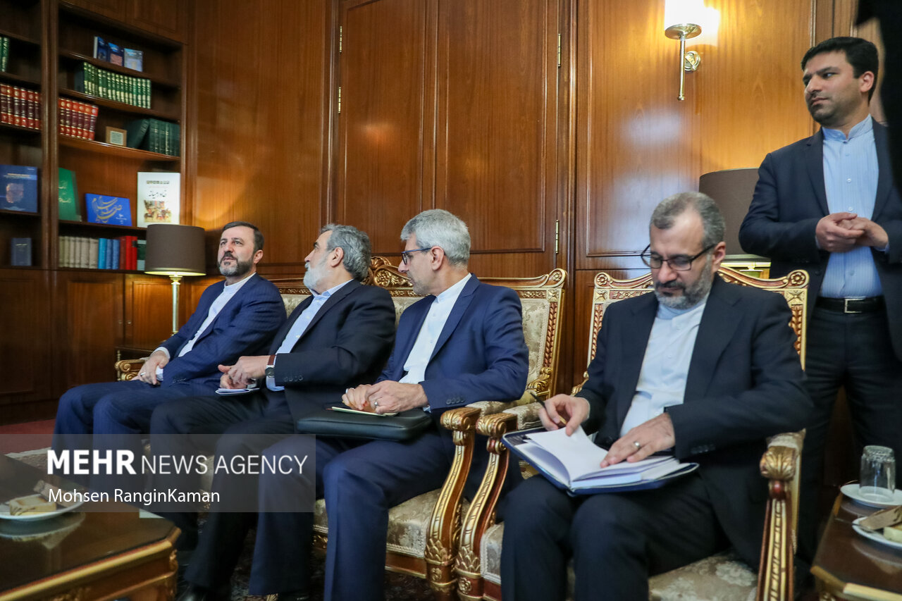 دیدار مدیر کل آژانس با وزیر امور خارجه