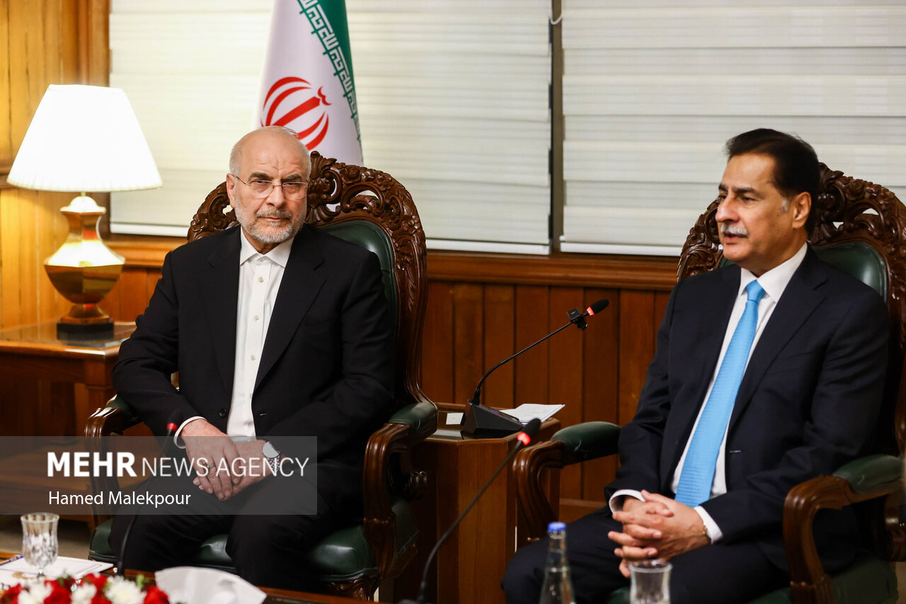 اولین روز سفر رئیس مجلس به پاکستان