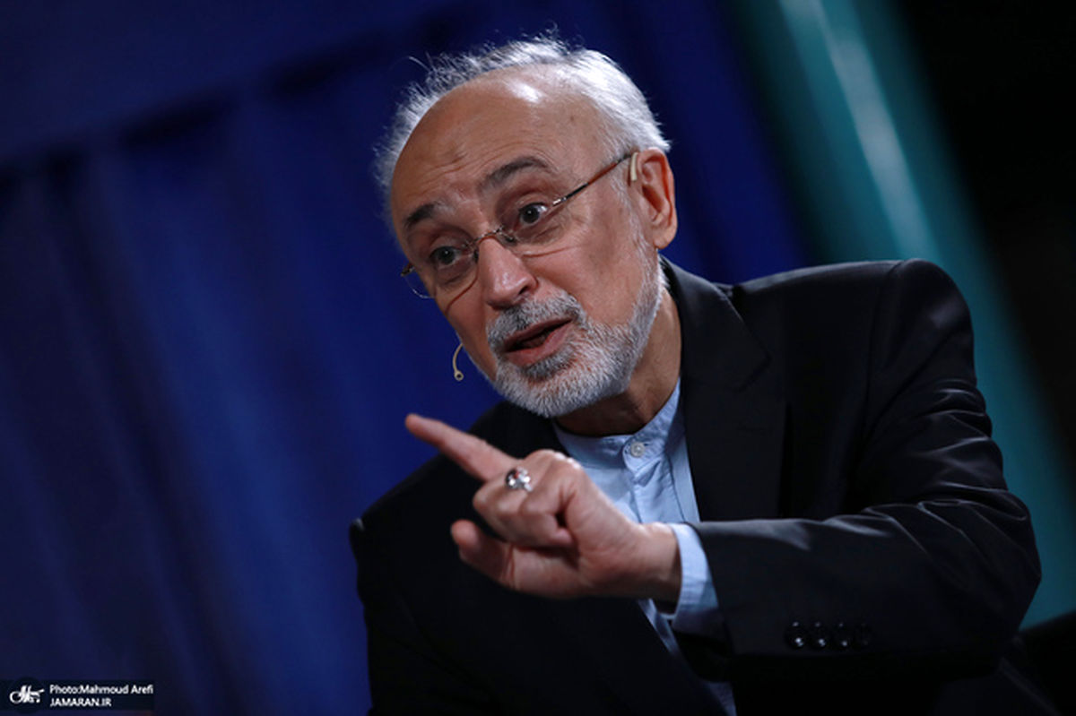 علی اکبر صالحی: طرح ظریف و بهاروند همان طرح کنسرسیوم در یک لباس جدید است