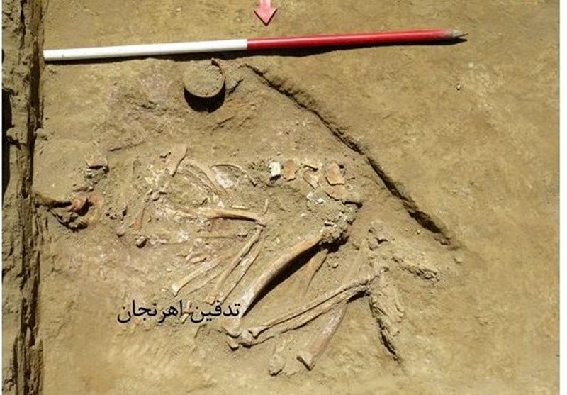 خبر هولناک/کشف ۴ گور در خانههای روستایی