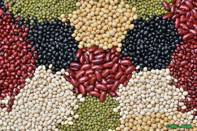 قیمت حبوبات در ایران ۷ برابر شد! | لوبیاچیتی لاکچری شد