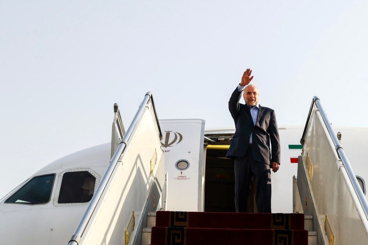 رئیس مجلس فردا عازم پاکستان خواهد شد