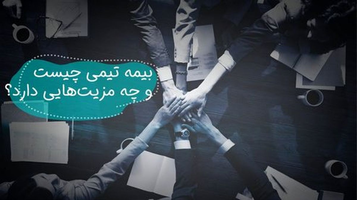 منظور از سود در بیمه تیمی چیست؟