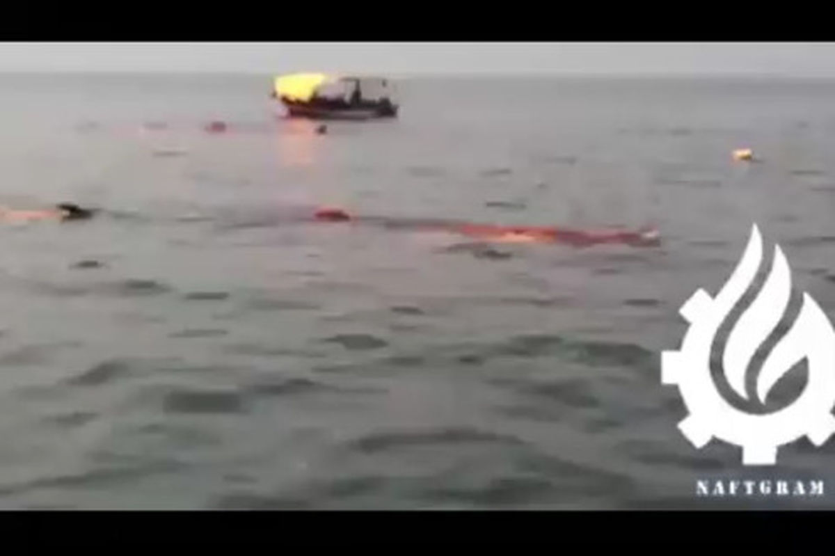 فیلم: کوسه نهنگ غولپیکر ۱۹ متری مهمان ناخوانده سکوی نفتی فروزان