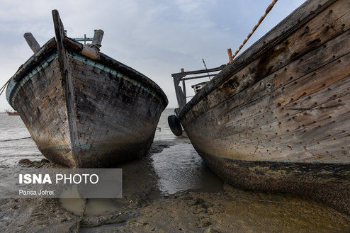 تصاویر: جزیره «شیف»