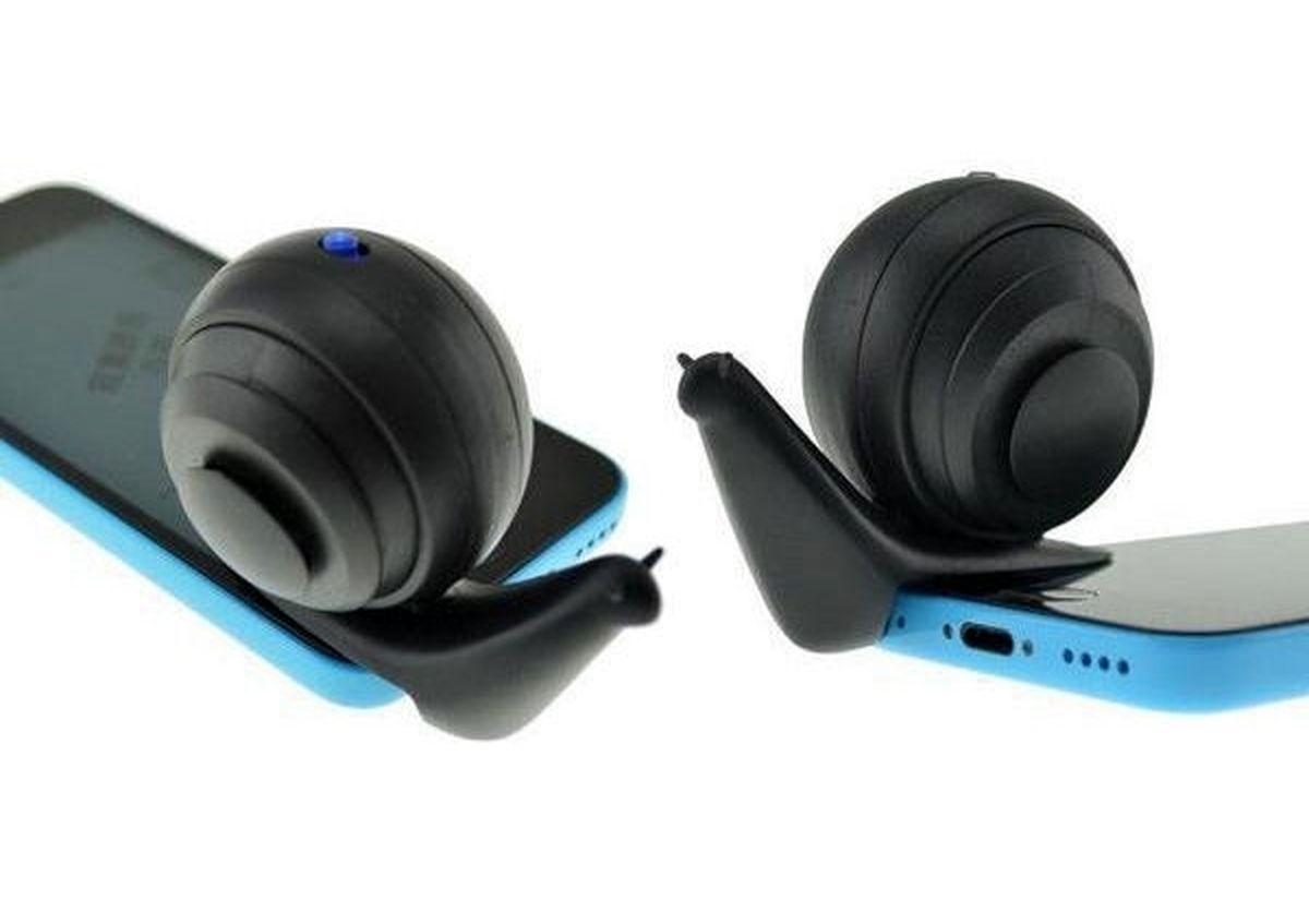 حلزون سخنران/عکس