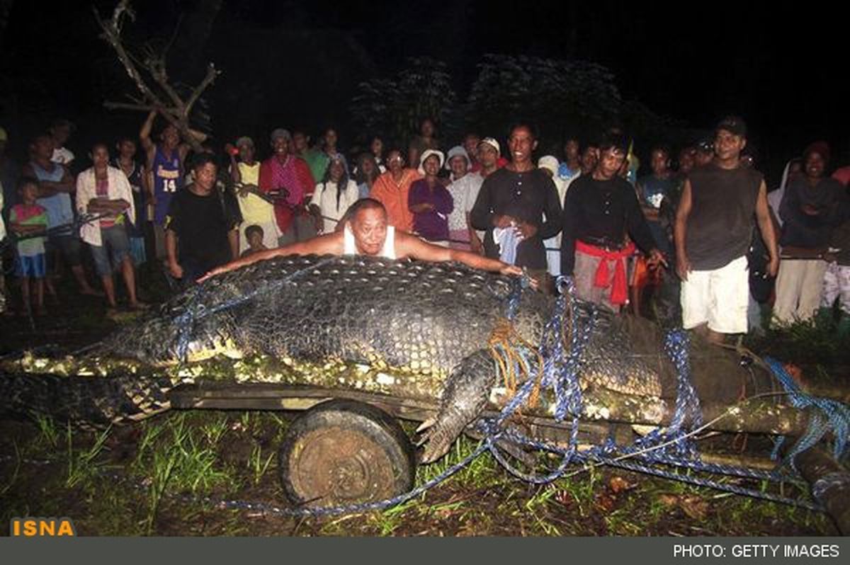 10 کشف برتر 2012 / عکس