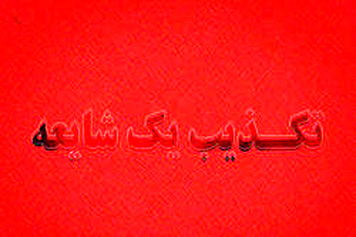 شایعه ربودهشدن ۳ کودک در بوشهر تکذیب شد
