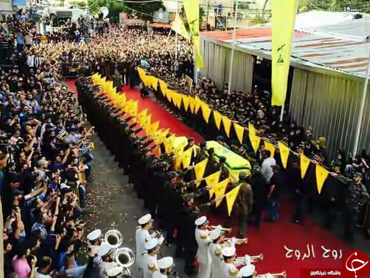 ذوالفقار آرام گرفت +تصاویر