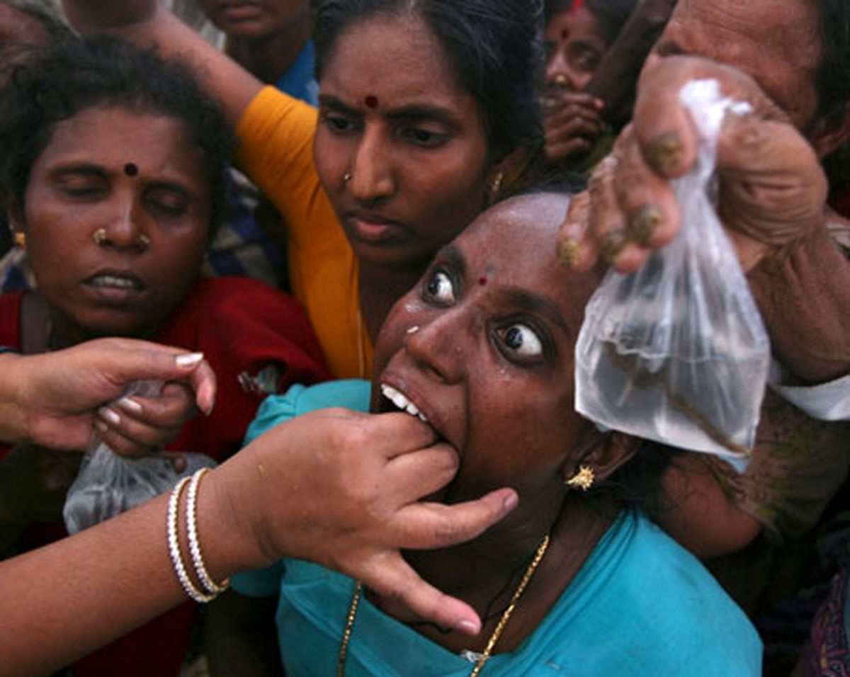 عکس/خوردن‌ماهی‌زنده برای‌درمان‌آسم