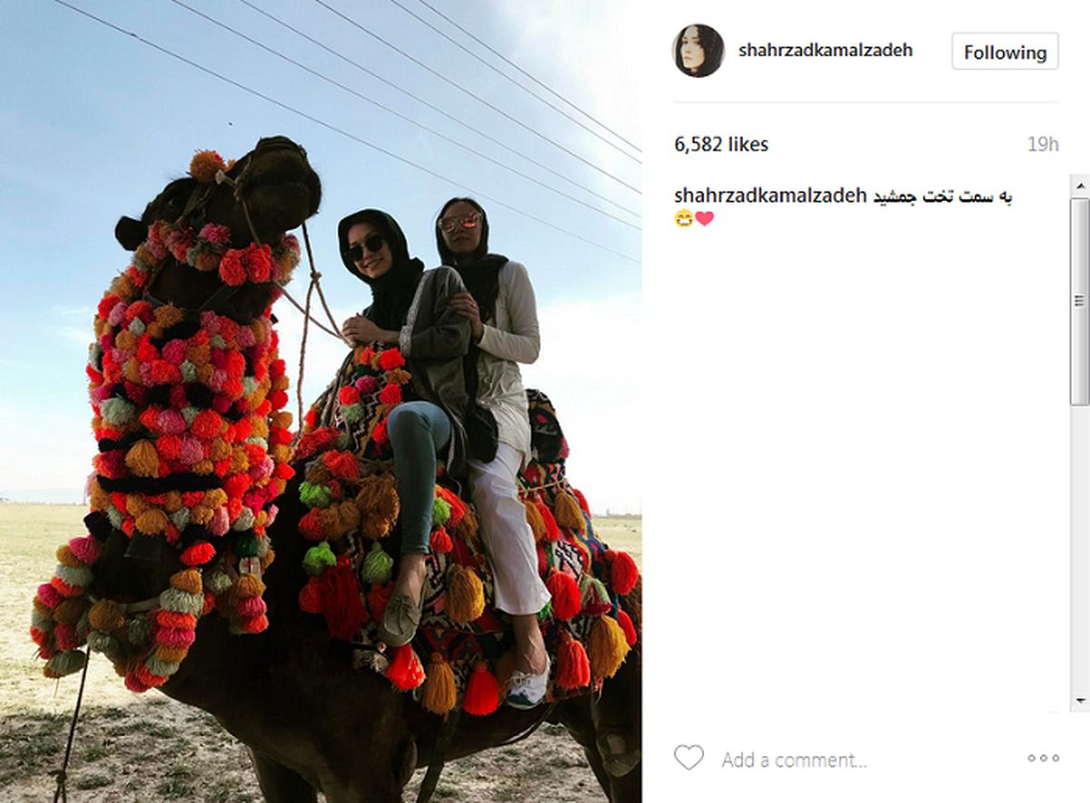 عکس: شتر سواری بازیگر تلویزیون!