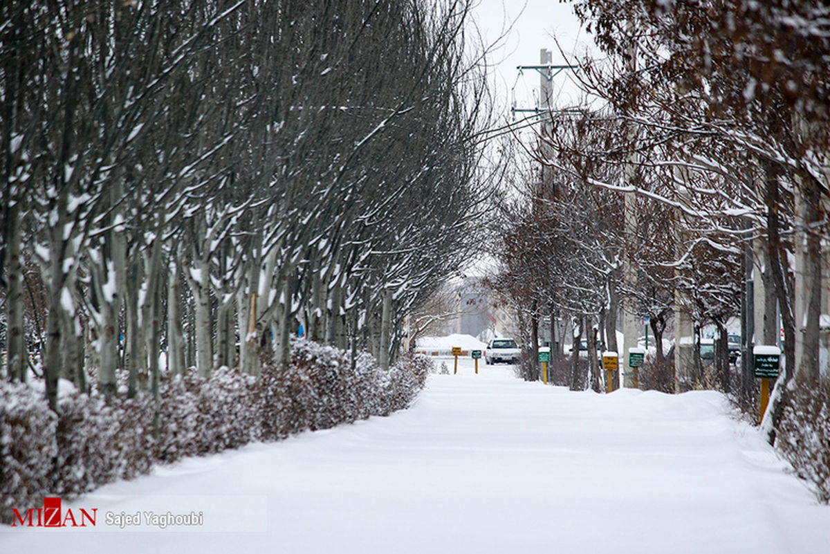 تصاویر: بارش برف در اردبیل