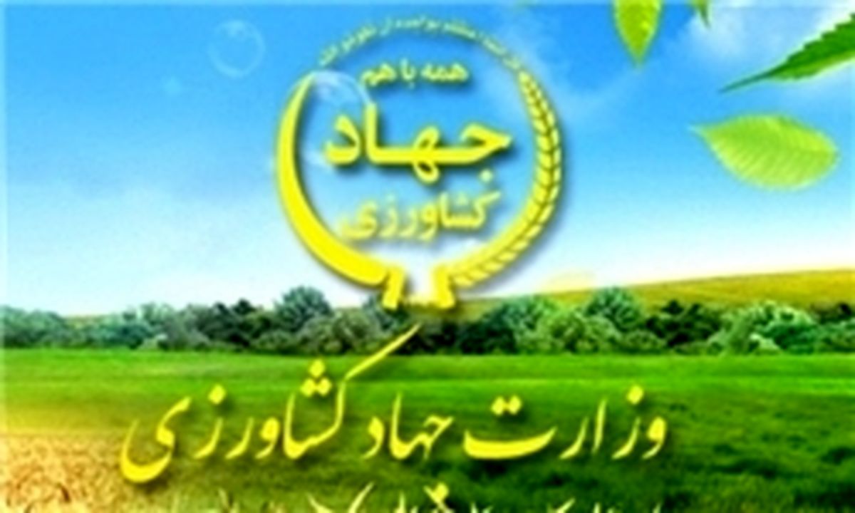 گزارش دیوان محاسبات از حجم وسیع تخلفات وزارت جهاد