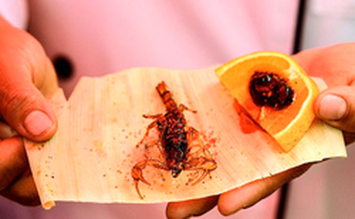 تصاویر: رستوران حشرات در مکزیک!