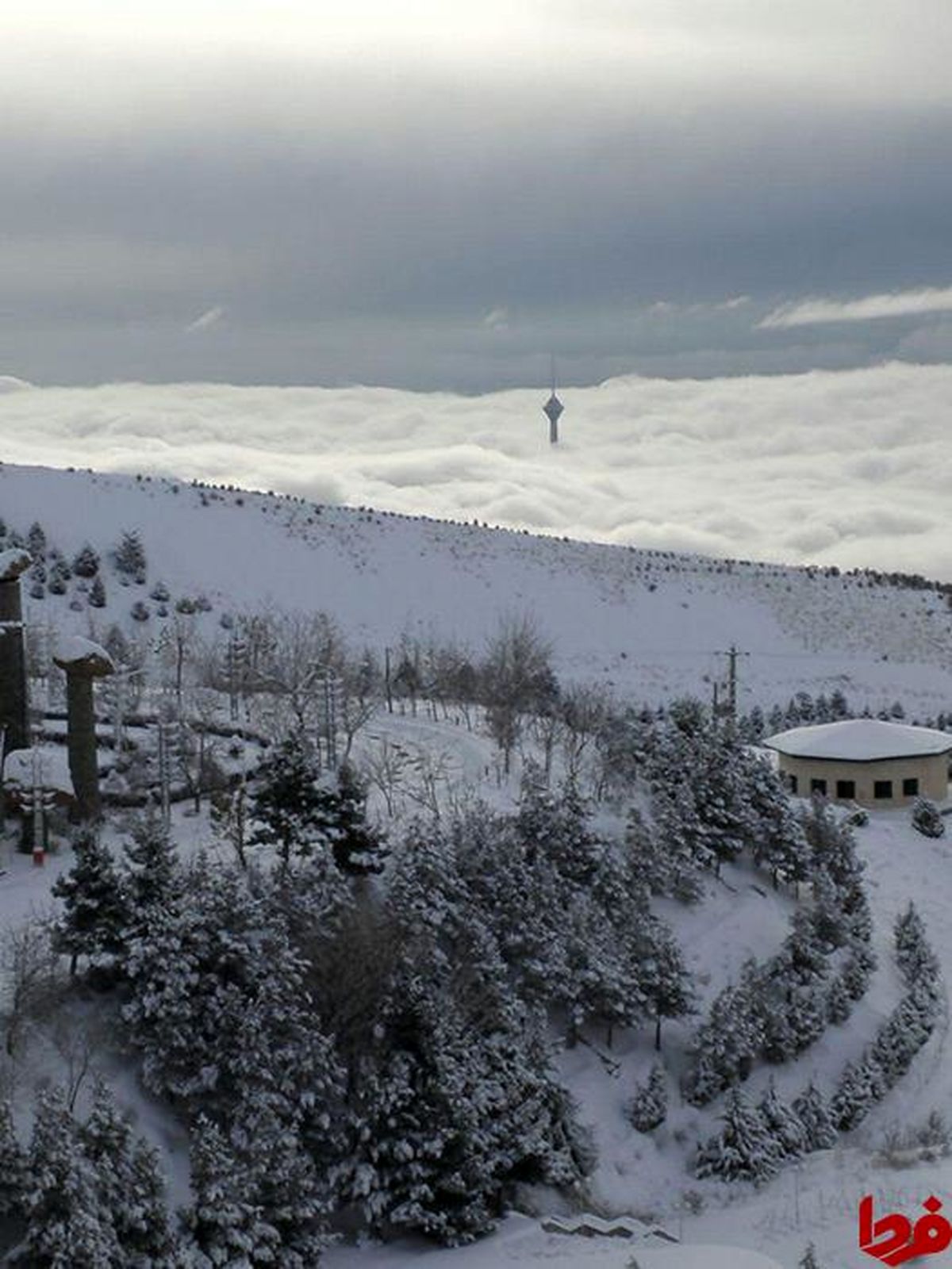 دیدن این عکس زیبا را از دست ندهید