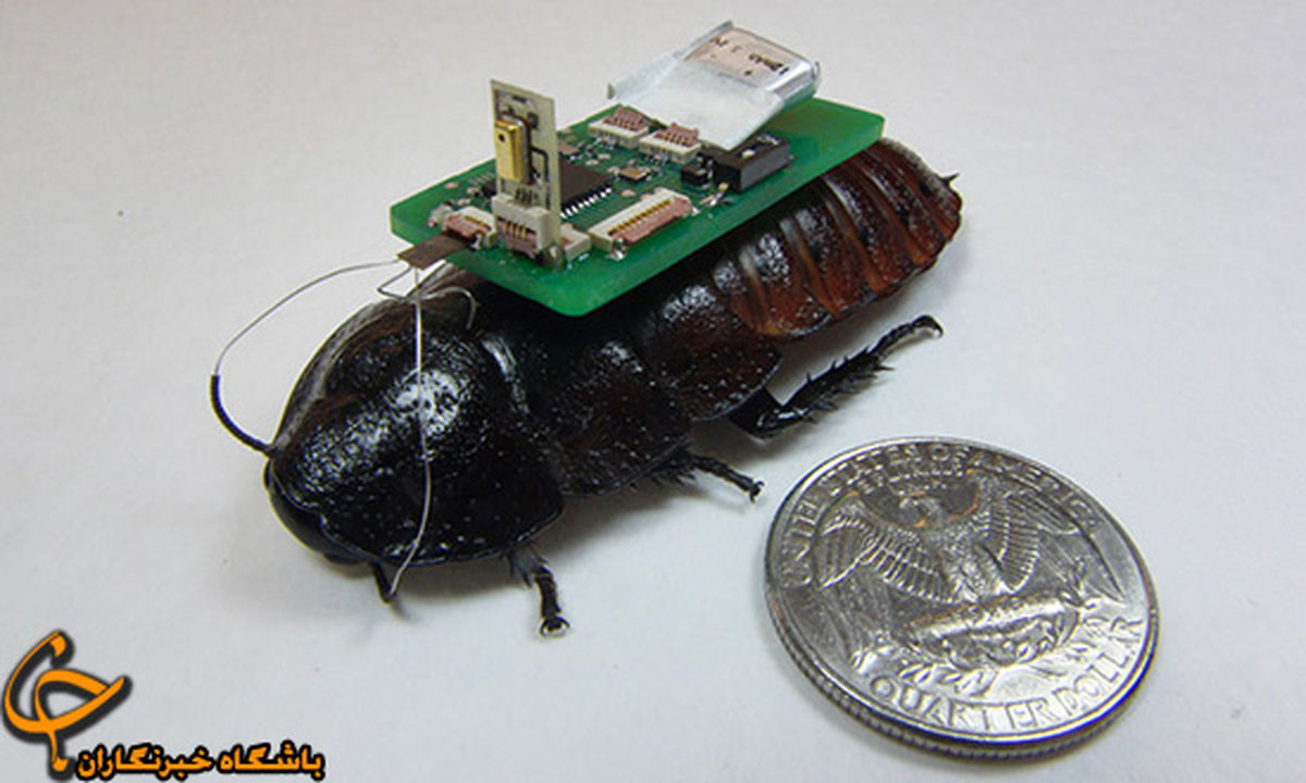 امداد و نجات با "سوسک امدادگر"/عکس