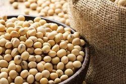 روسیه جایگزین آمریکا در صادرات دانه سویا به چین شد