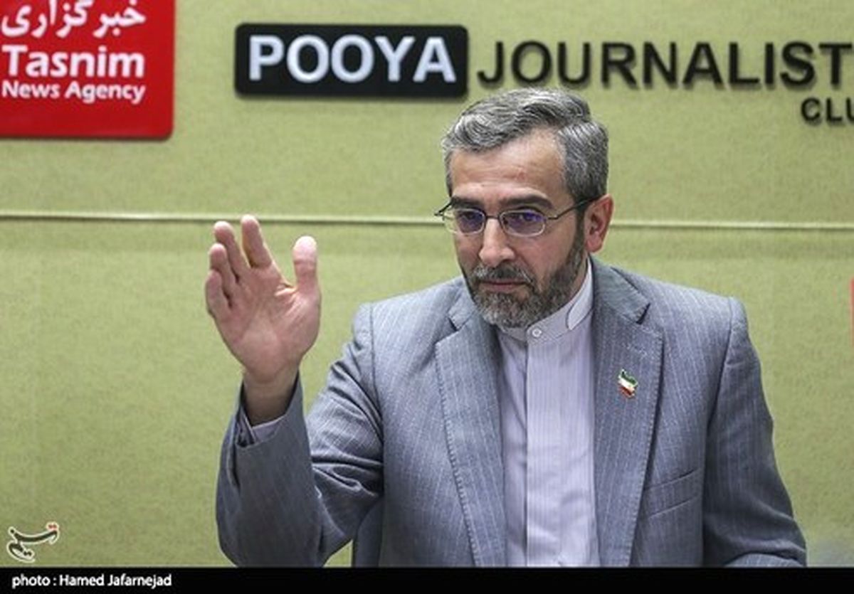 باقریکنی: توسعه رژیمهای تحریم برای حقوق بشر نگرانکننده است