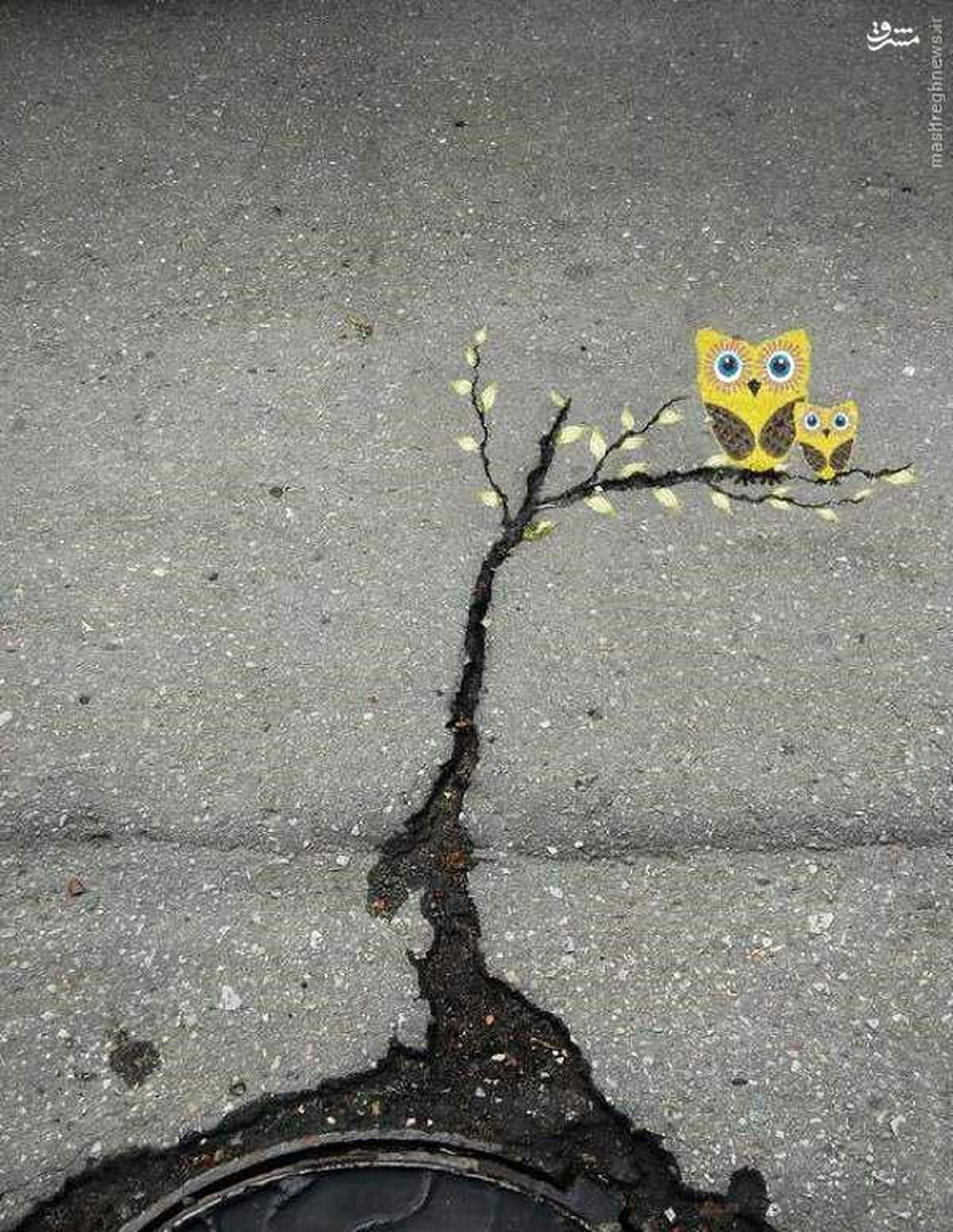 عکس: کار زیبا و خلاقانه یک مشهدی با ترک آسفالت