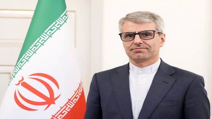 بقائی: آمریکا باید به خاطر ارتکاب جنایت علیه بشریت مواخذه شود