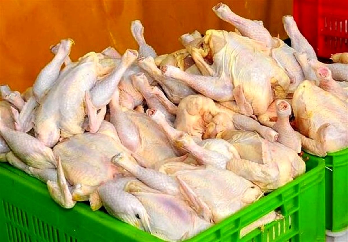 وعده چندباره وزارت جهاد برای ارزانی مرغ
