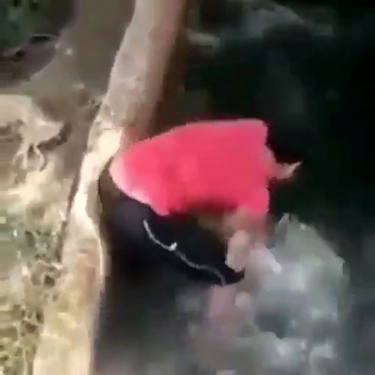 فیلم نارحت کننده از یک حیوان‌آزاری در فضای‌مجازی