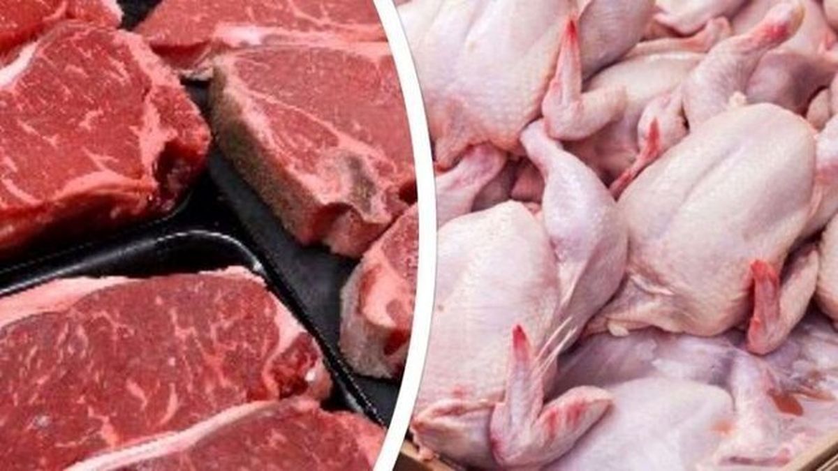 گوشت و مرغ ارزان می شود؟